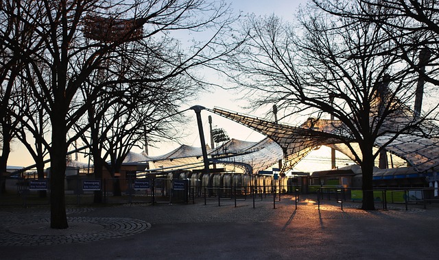 崭露头角的 崭露头角的