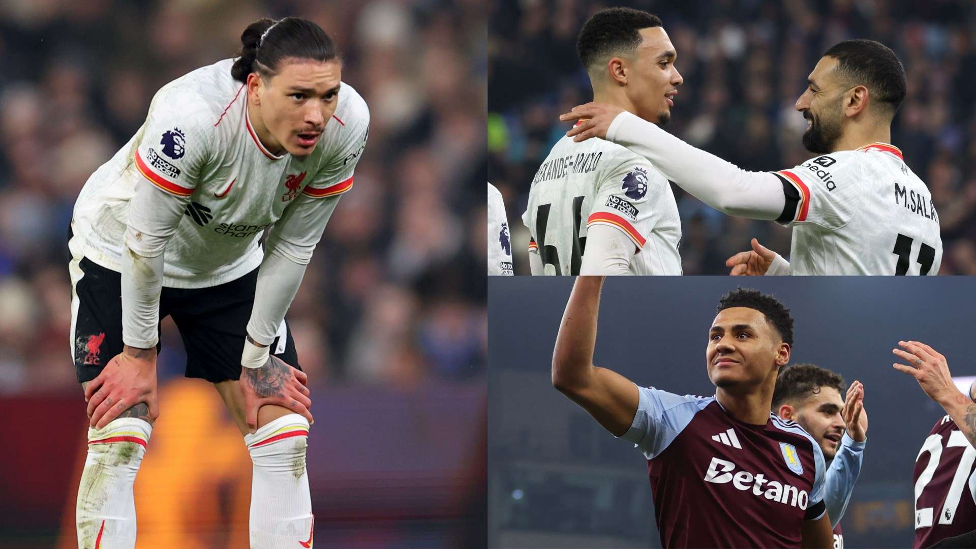 浙江队曾凭 浙江队曾凭