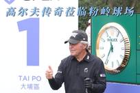 不论在羽毛